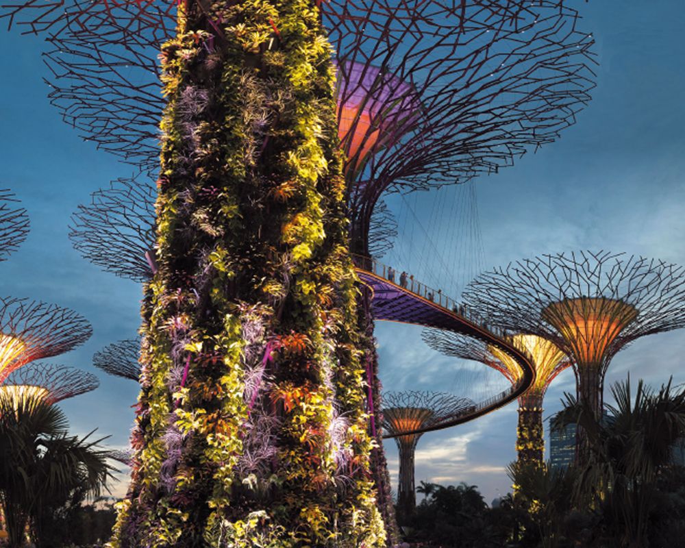 Nature Covers R&D at NTU and Other Leading Institutions in East Asia-封面圖