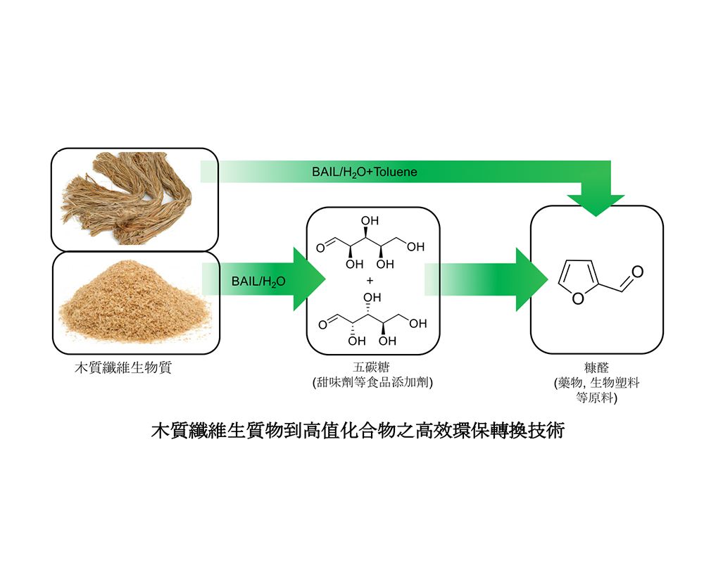 吳嘉文教授跨國團隊研究農業廢棄物回收有用成分-封面圖