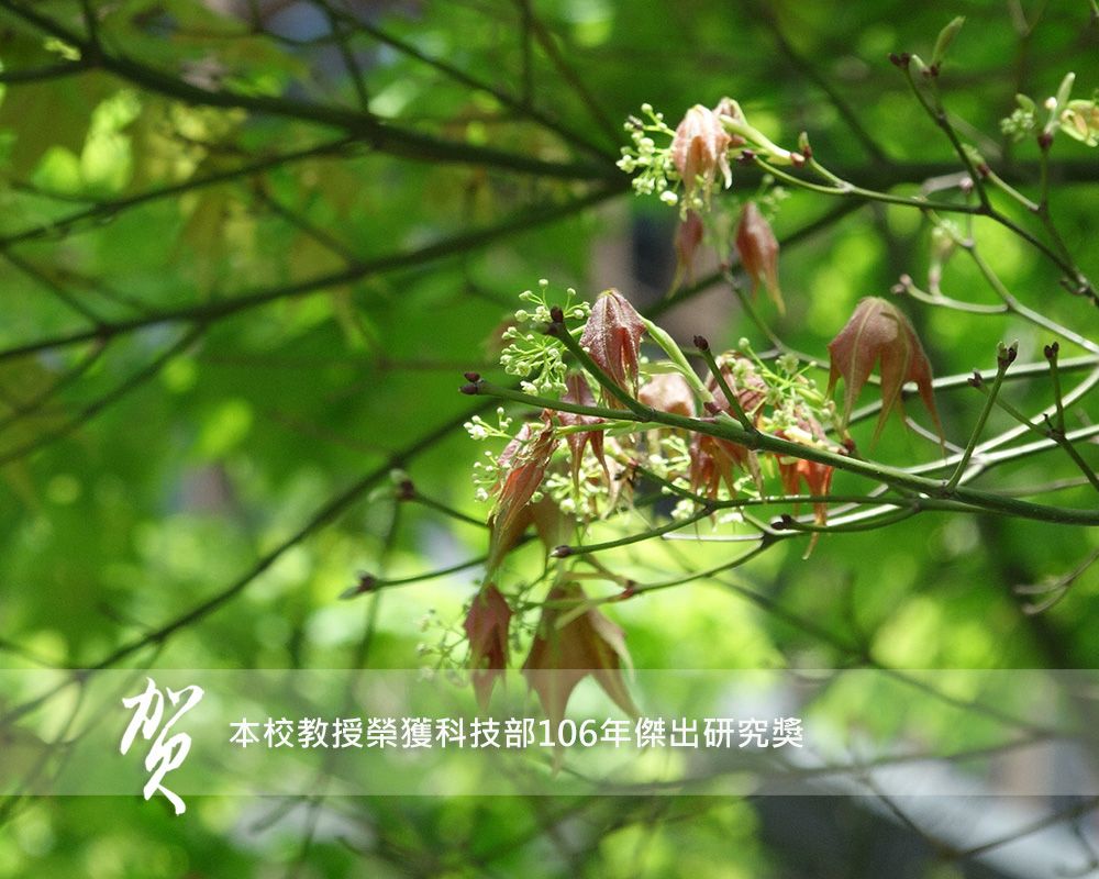 臺大17位教授榮獲科技部106年傑出研究獎-封面圖