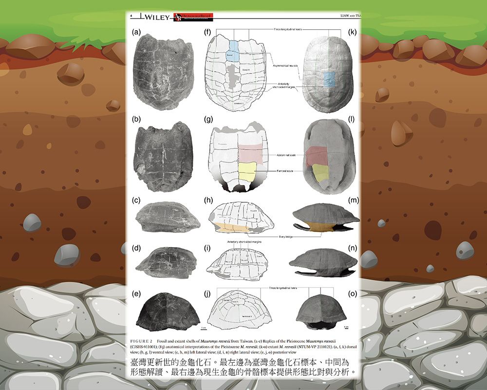 從過往到現今看向未來的「保育古生物學」研究成果-封面圖