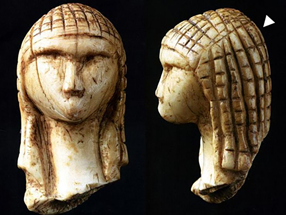 揭開人類長髮演化之謎 醫學工程學系團隊研究成果解析-封面圖