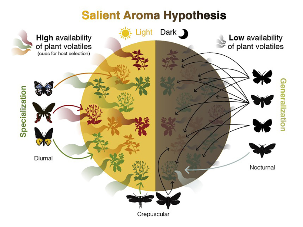 臺大進行跨國合作研究—揭示化學訊息如何驅動生態特化與演化-封面圖