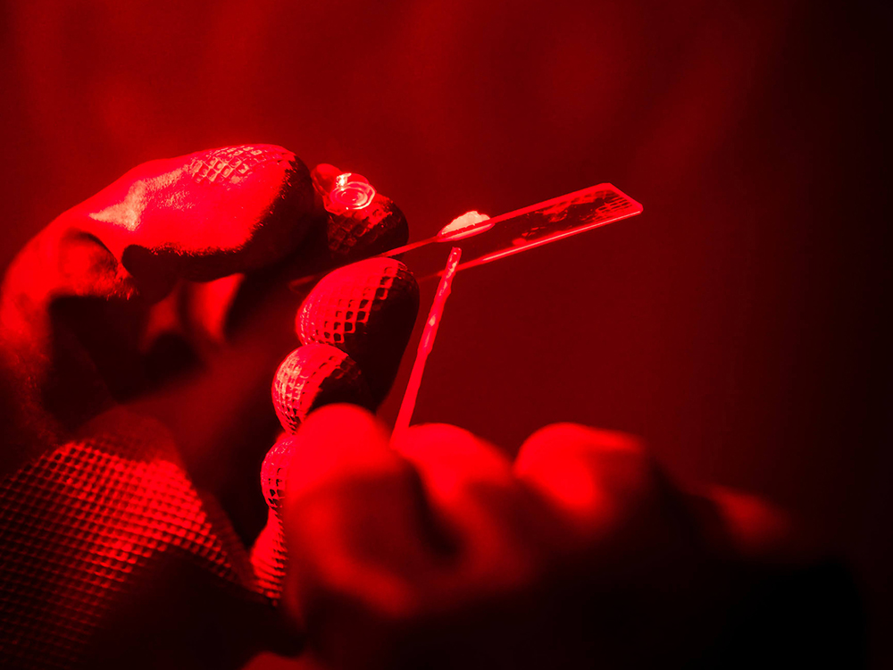 解碼隱花色素 一窺蛋白質感光的神祕機制-封面圖