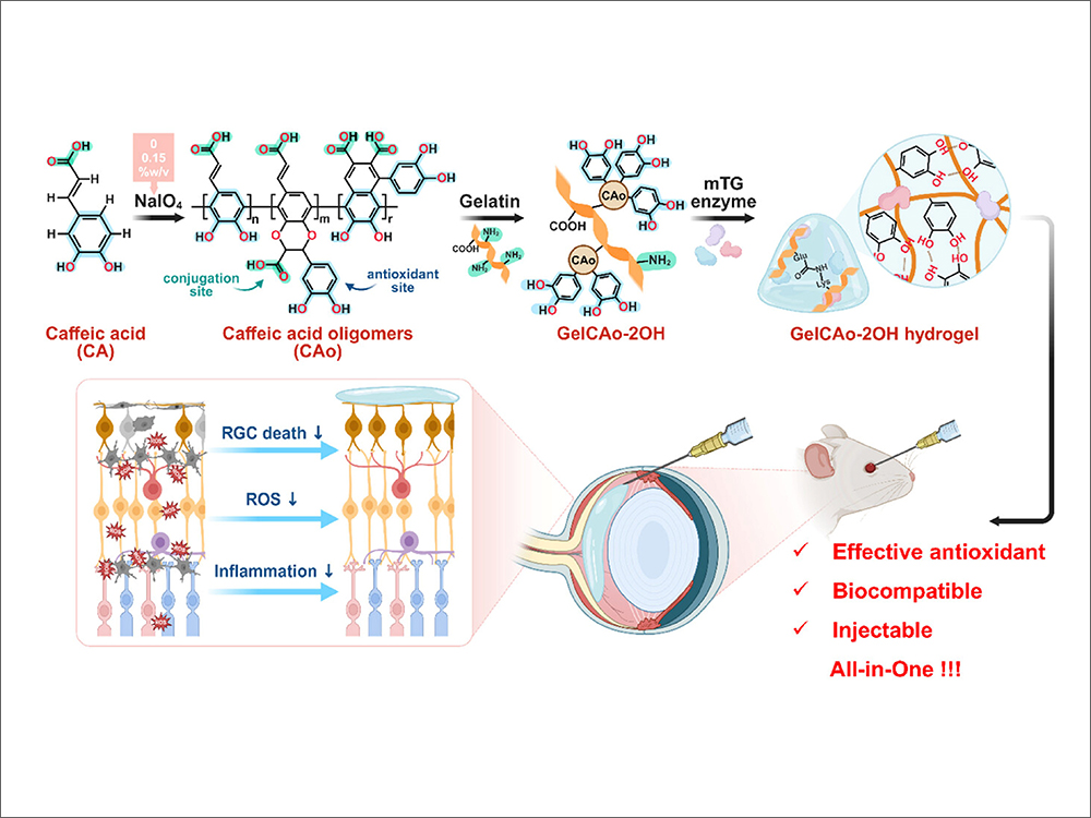 跨域研究攜手開創視覺神經系統損傷修復新局-封面圖