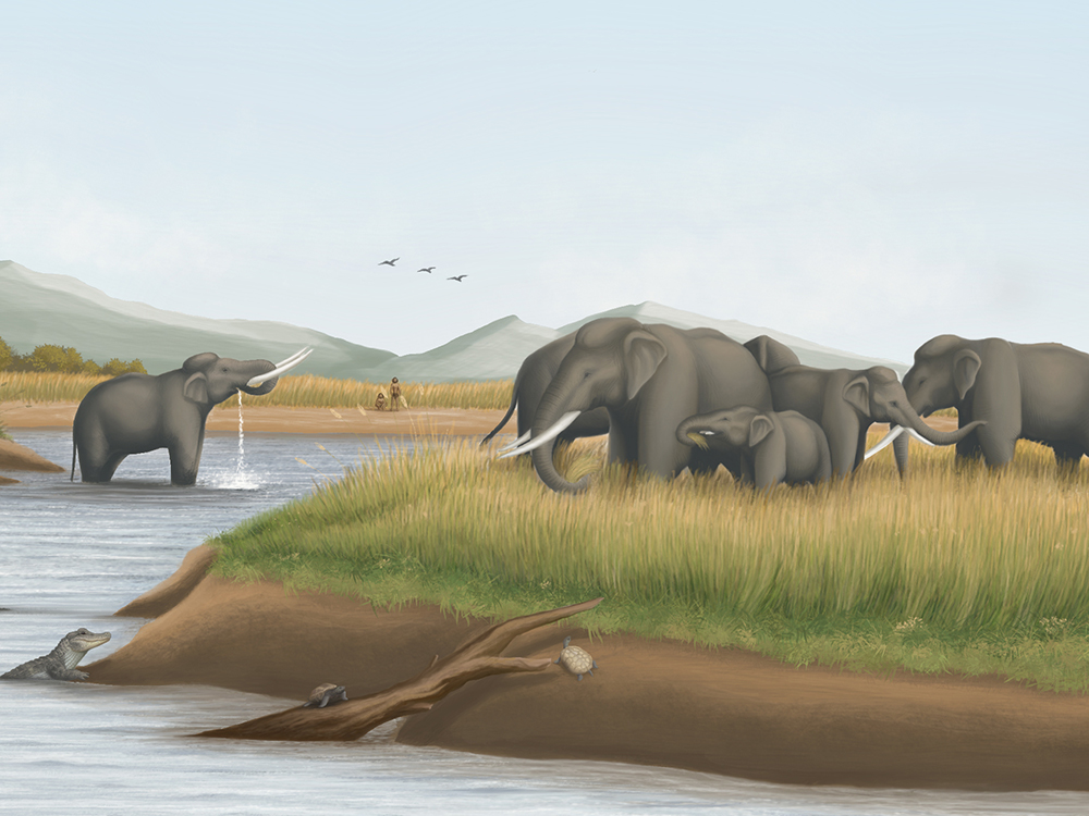 重建臺灣更新世時期的生態系：非洲大草原在臺灣-封面圖