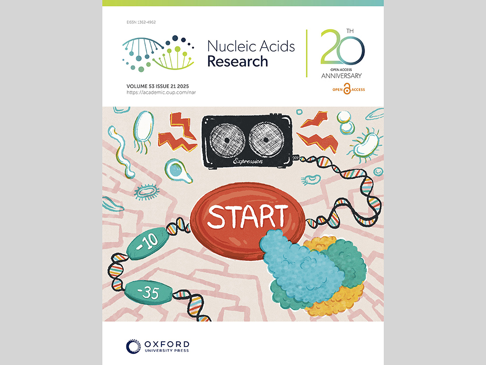 臺大生命科學系副教授周信宏研究成果榮登國際期刊Nucleic Acids Research封面-封面圖